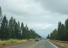 c Honolulu (4)
